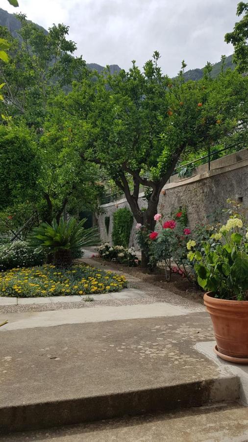 Casa vacanze Casa Anna Positano